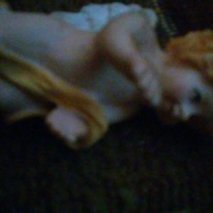 Meet your Posher, Joe